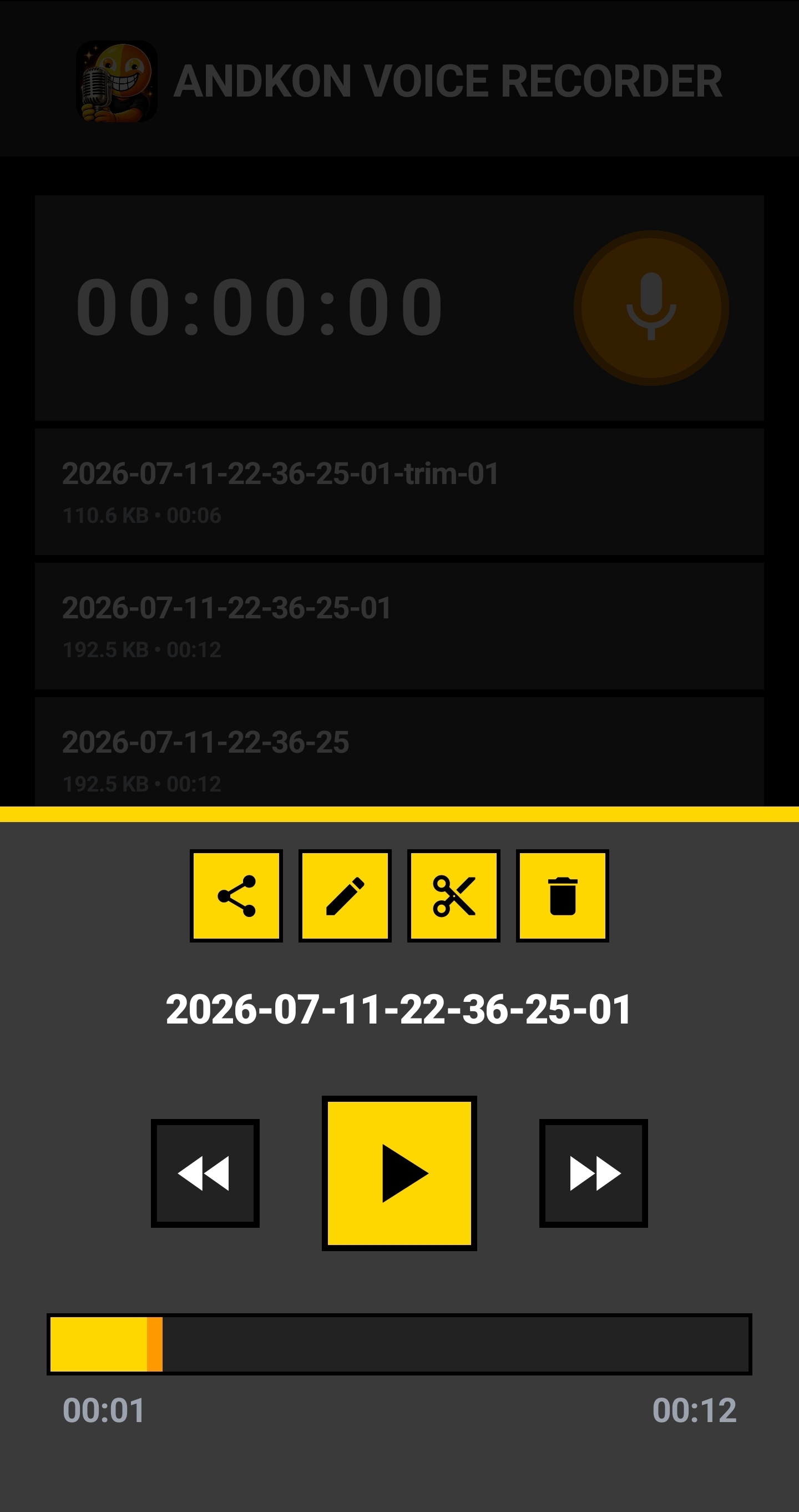 Andkon Voice Recorder playback screen